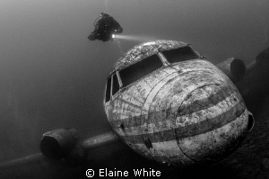 Diver checking out the passenger plane by Elaine White 